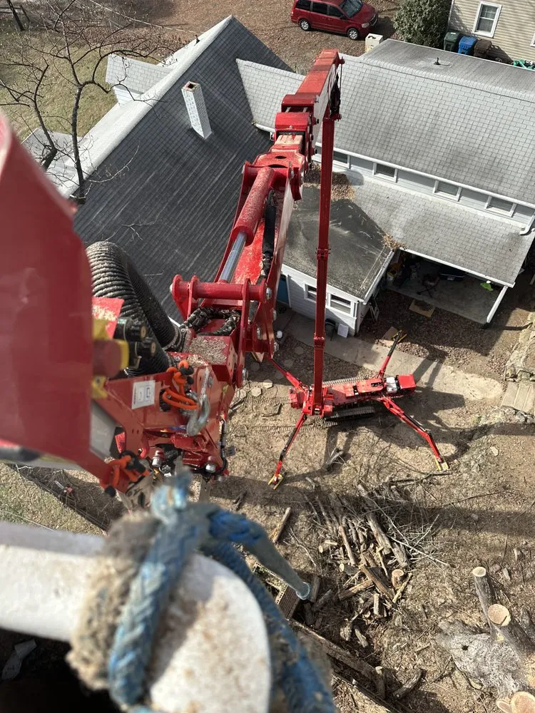 Custom lawn care service in Creedmoor, NC by Holt's tree service