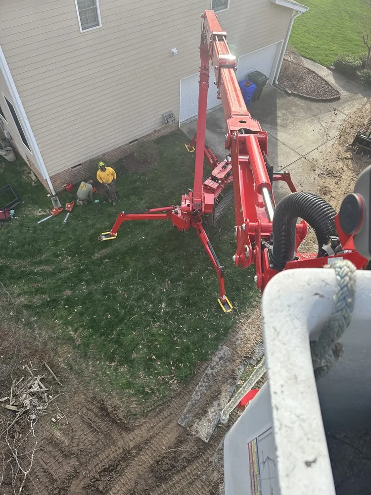 Local yard maintenance experts serving Creedmoor, NC - Holt's tree service