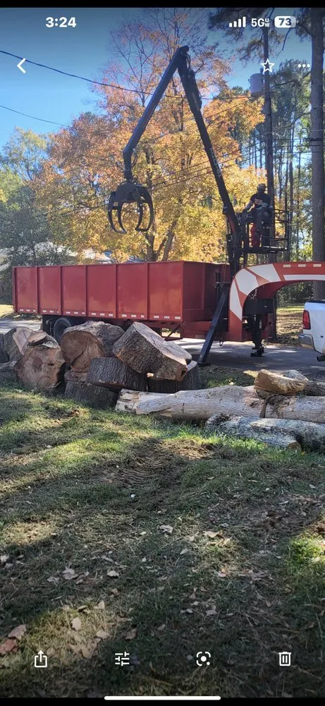 Custom yard cleanup service with custom design in Creedmoor, NC by Holt's tree service