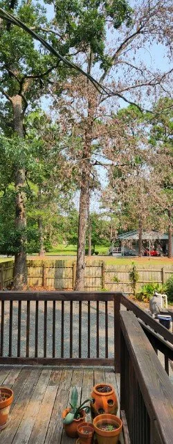 Expert outdoor landscaping in Creedmoor, NC - Holt's tree service