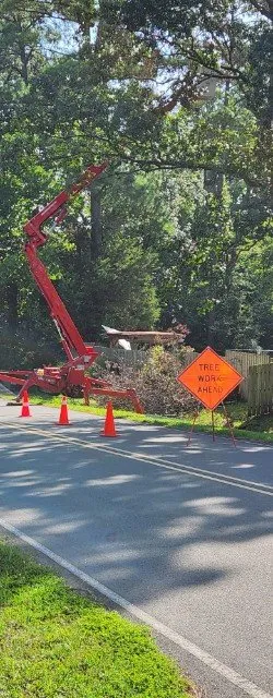 Reliable garden landscaping near you across Creedmoor, NC - Holt's tree service