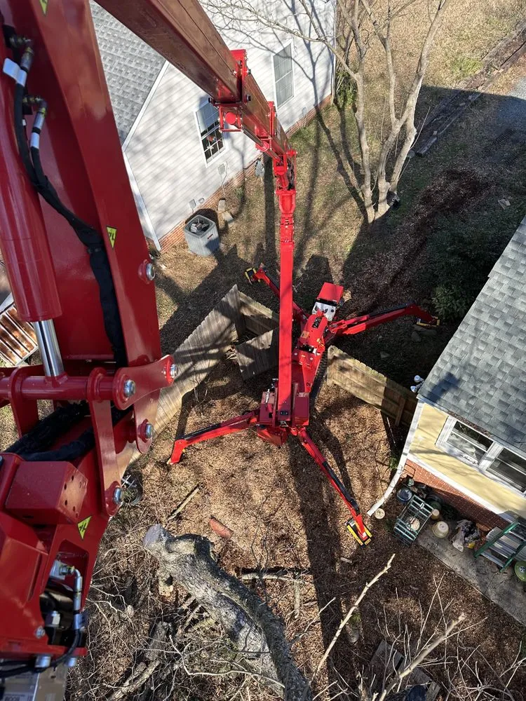 Reliable residential landscaping experts serving Creedmoor, NC - Holt's tree service