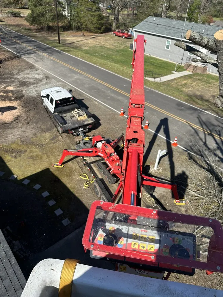 Affordable landscape design in Creedmoor, NC - Holt's tree service