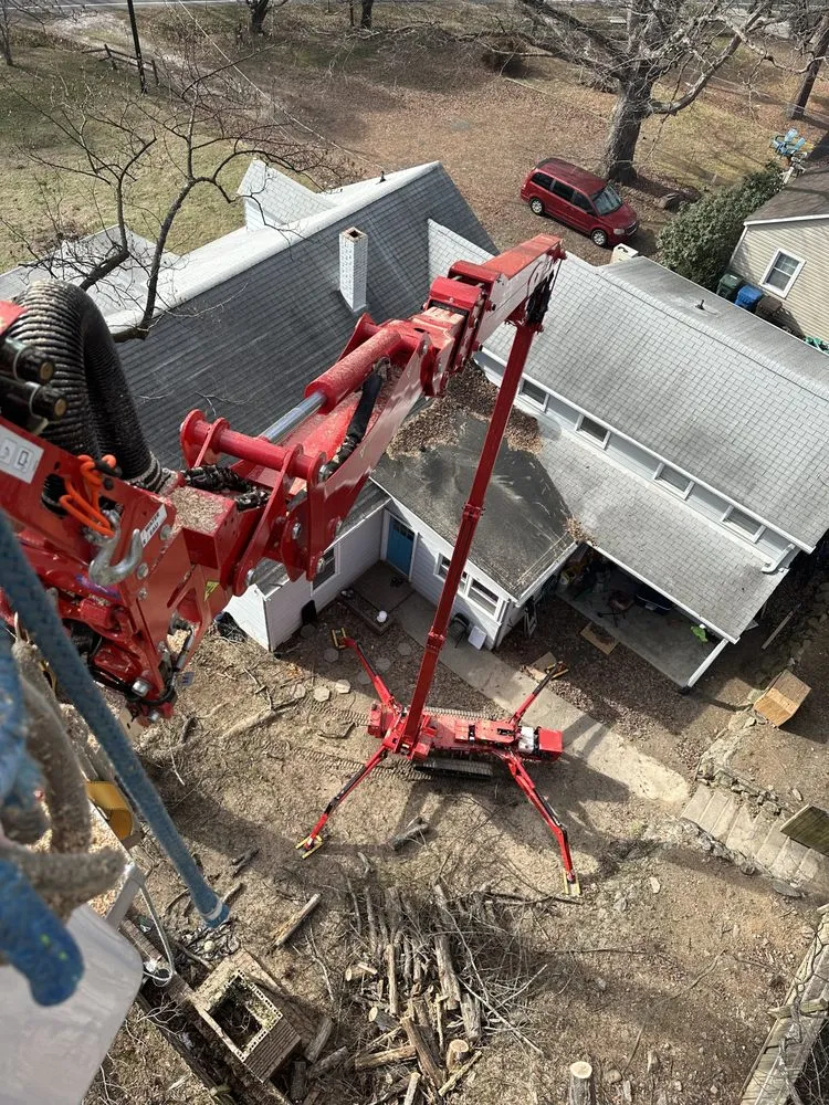 Trusted yard cleanup service in Creedmoor, NC - Holt's tree service