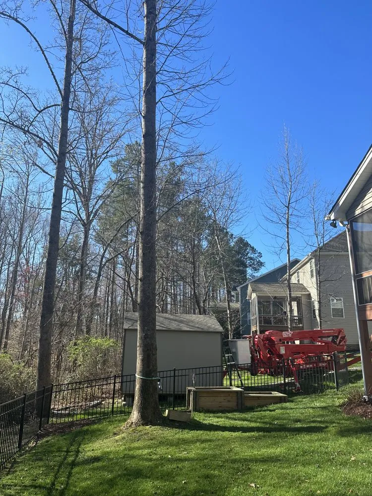 Custom yard cleanup service in Creedmoor, NC - Holt's tree service
