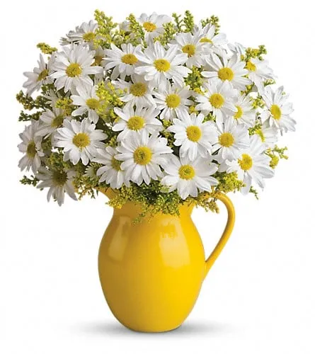 Local garden landscaping for beautiful yards in Ham Lake, MN by Holtz Garden Center