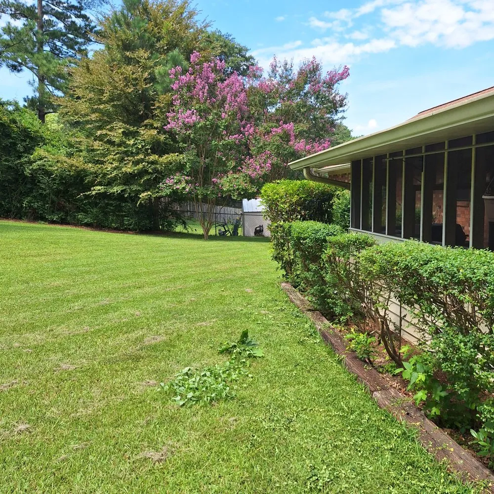 Top-rated yard cleanup service in Augusta, GA - Holub Landscaping and Detail