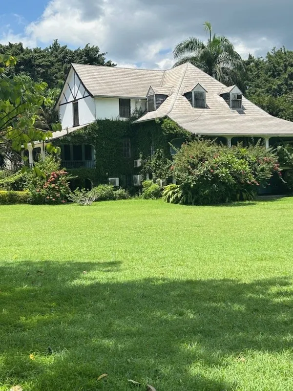 Local yard cleanup service in Augusta, GA - Holub Landscaping and Detail