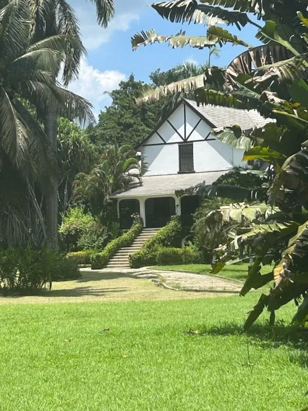 Professional landscape installation in Augusta, GA - Holub Landscaping and Detail