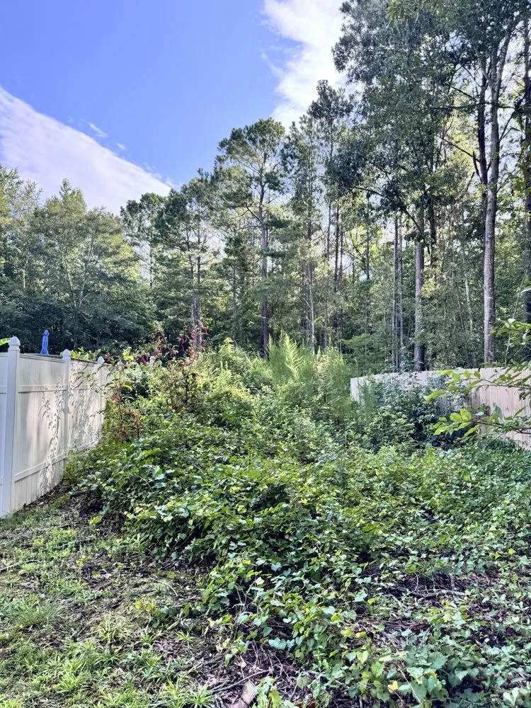 Trusted residential landscaping in Monroe, GA - Holub’s Construction