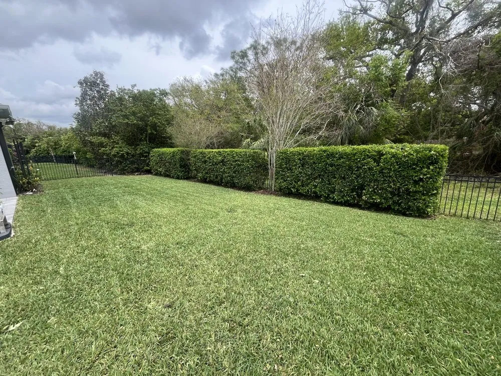 Professional outdoor landscaping experts serving Bradenton, FL - Holy City Landscape And Lawn Care