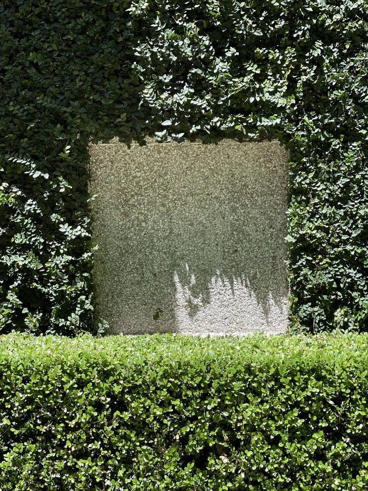 Affordable lawn care service experts serving Charleston, SC - Holy City Lawn Maintenance