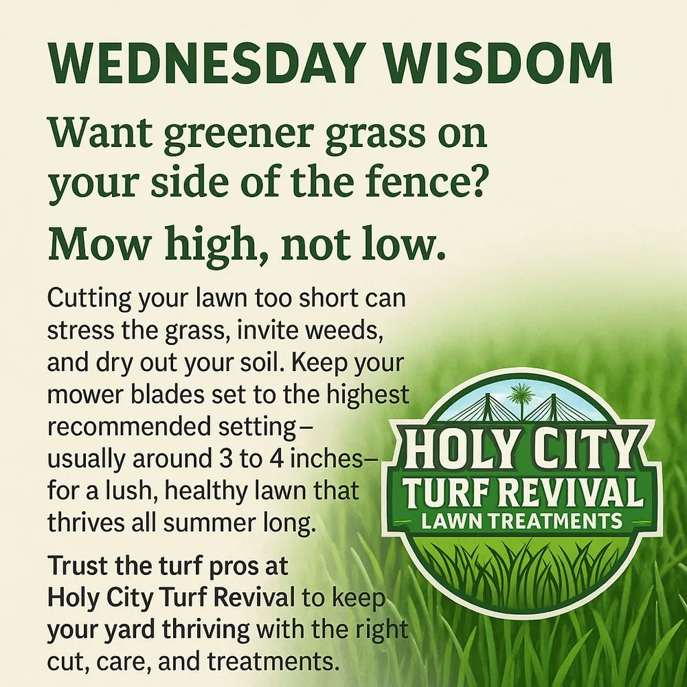 Trusted lawn care service experts serving Ladson, SC - Holy City Turf Revival