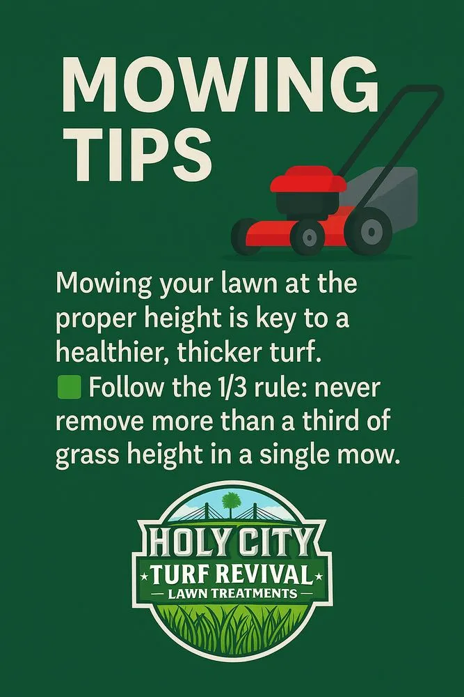 Top-rated landscaping services in Ladson, SC - Holy City Turf Revival