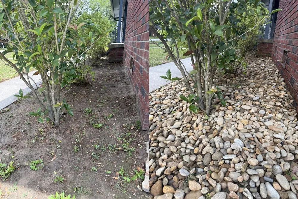 Reliable lawn care service in Ladson, SC - Holy City Turf Revival