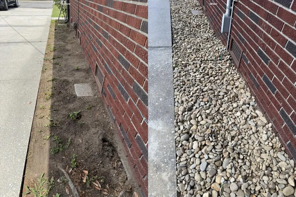 Top-rated yard cleanup service for residential properties across Ladson, SC - Holy City Turf Revival