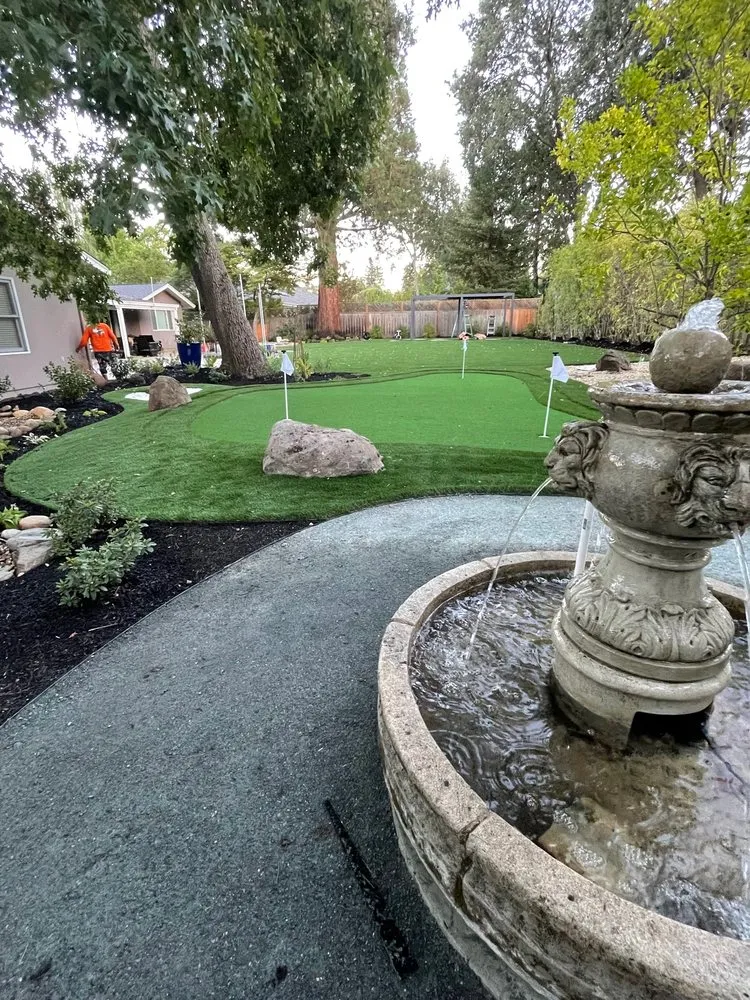 Professional yard maintenance for year-round maintenance in Alamo, CA by Holy Greens & Turf