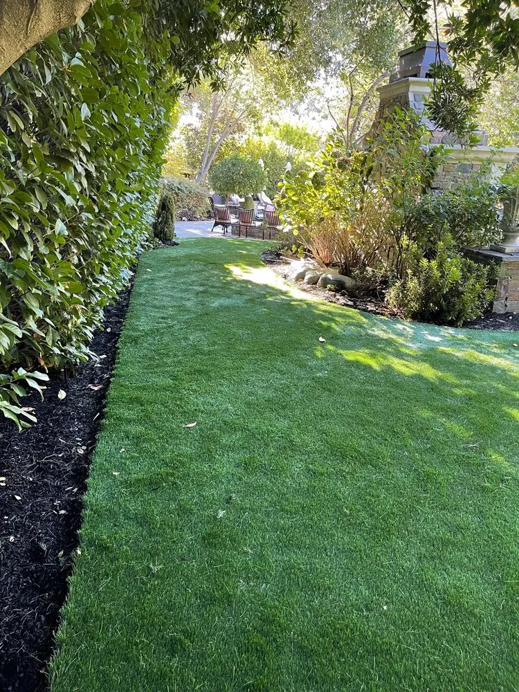 Local landscape design for homes in Alamo, CA by Holy Greens & Turf