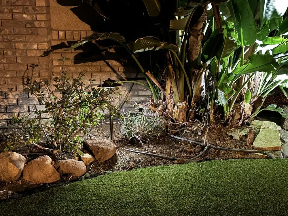 Local landscape design for homes across Alamo, CA - Holy Greens & Turf