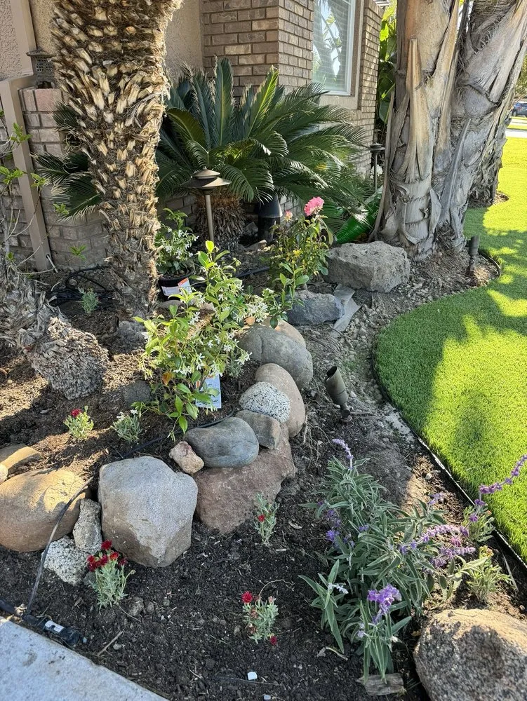 Affordable residential landscaping in Alamo, CA - Holy Greens & Turf