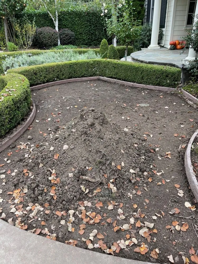 Custom yard maintenance with custom design across Alamo, CA - Holy Greens & Turf