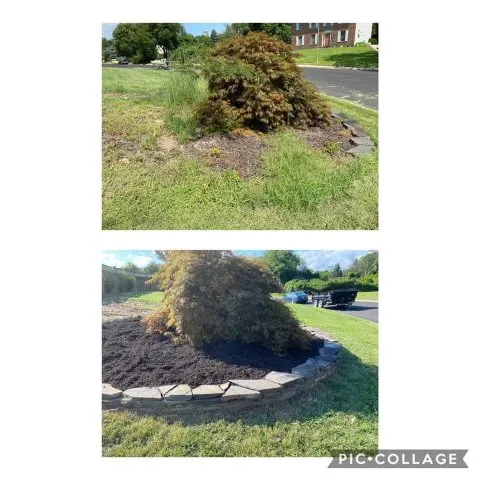 Trusted yard cleanup service in Lake Shore, MD - Holy grounds scaping