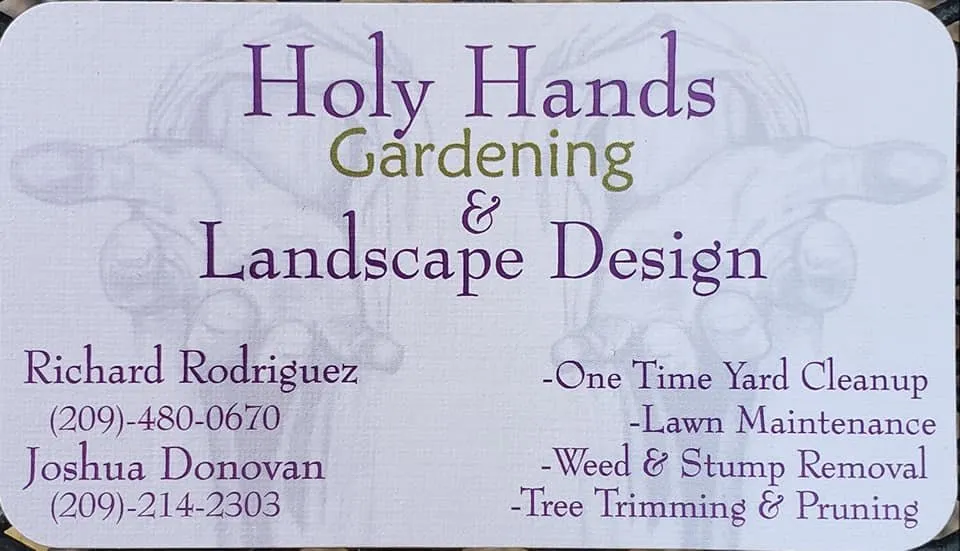 Local yard cleanup service for residential properties in Empire, CA by Holy Hands Gardening & Landscape Design