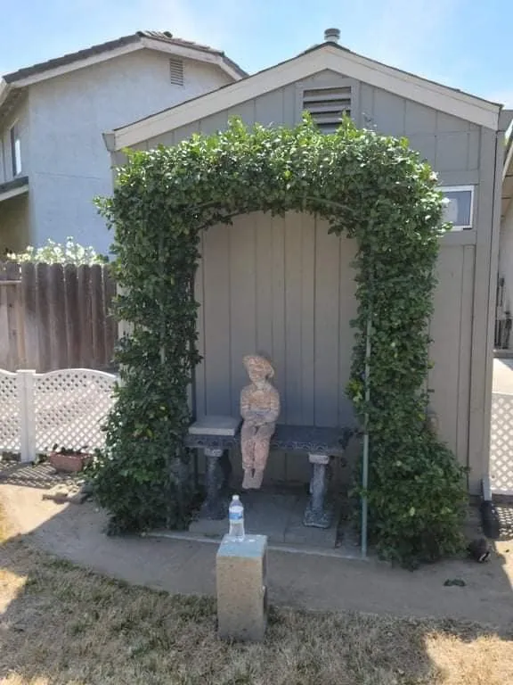 Trusted yard maintenance experts serving Empire, CA - Holy Hands Gardening & Landscape Design