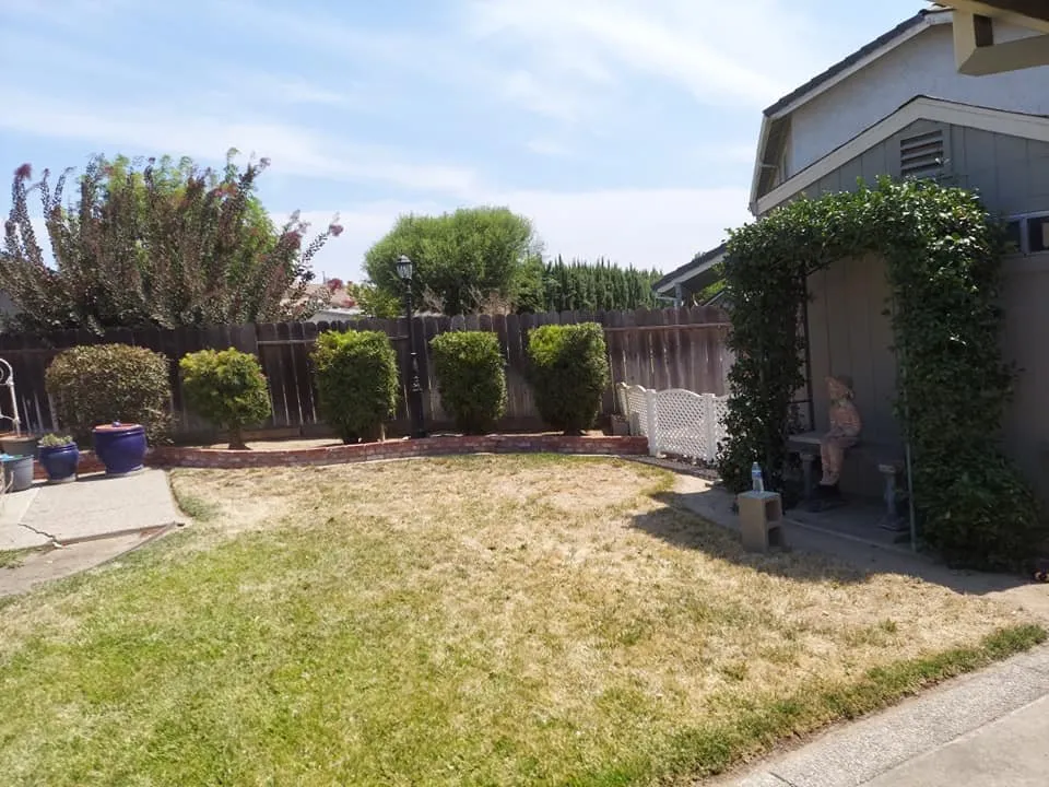 Local outdoor landscaping for beautiful yards in Empire, CA by Holy Hands Gardening & Landscape Design