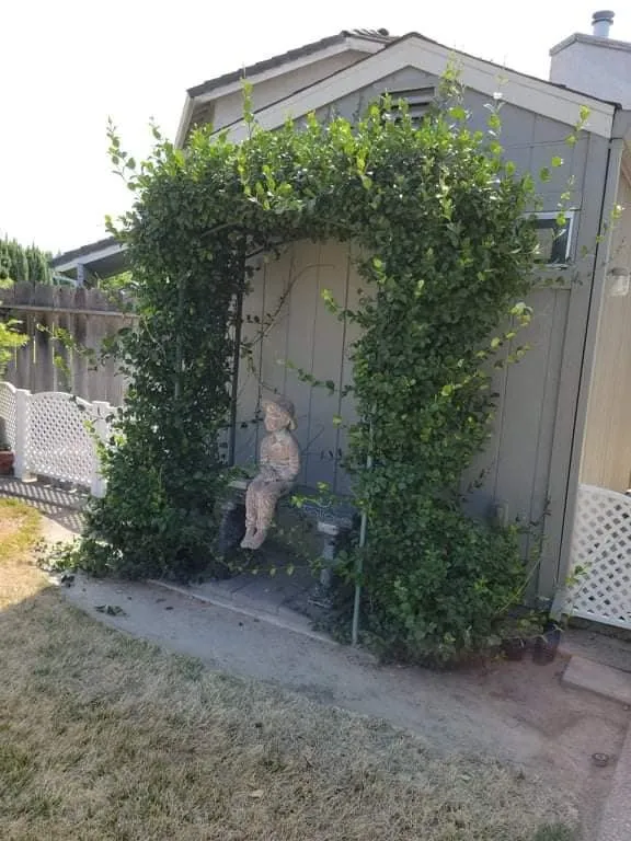 Custom residential landscaping in Empire, CA by Holy Hands Gardening & Landscape Design