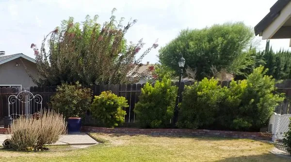 Holy Hands Gardening & Landscape Design