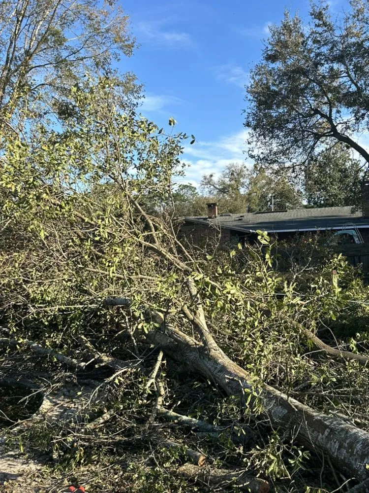 Professional landscape installation in Jacksonville, FL by Holy Hands GroundsKeeping