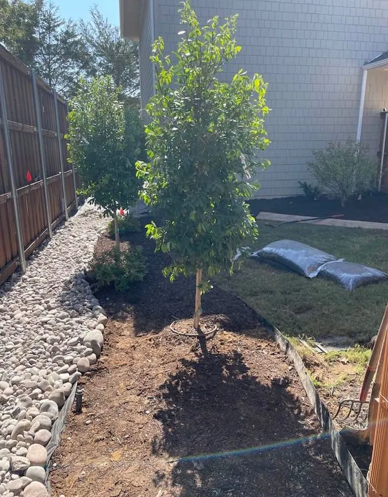 Top-rated landscape installation in Duncanville, TX - Holy Landscapes