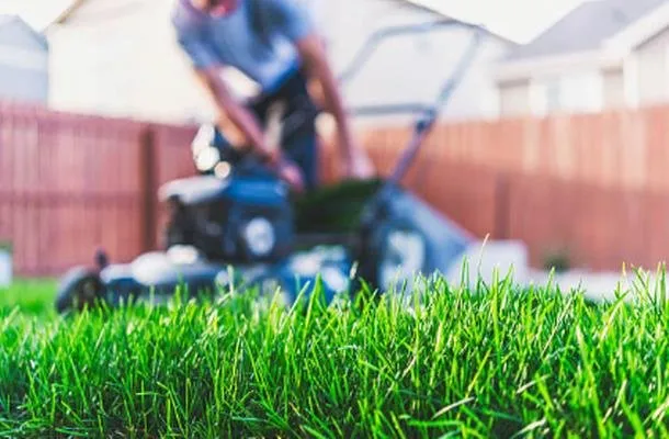 Custom lawn care service in Sterling, MA - Holy Mowers