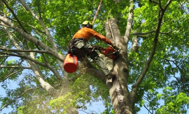 Reliable outdoor landscaping in Sterling, MA - Holy Mowers
