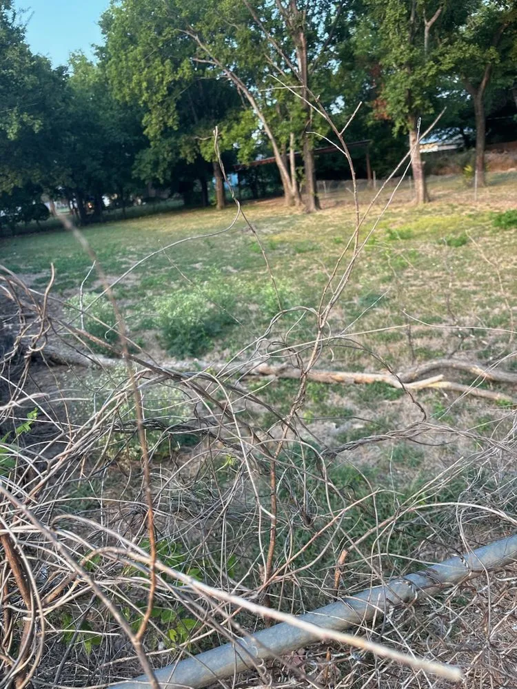 Affordable landscape design for residential properties in Fort Worth, TX by Holy Nation Records