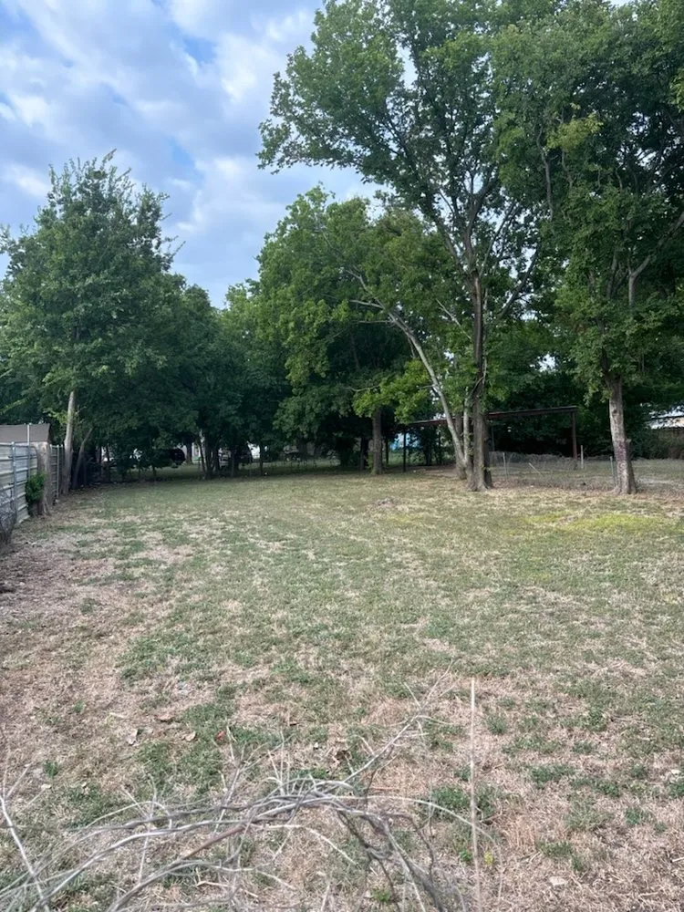 Top-rated yard cleanup service experts serving Fort Worth, TX - Holy Nation Records