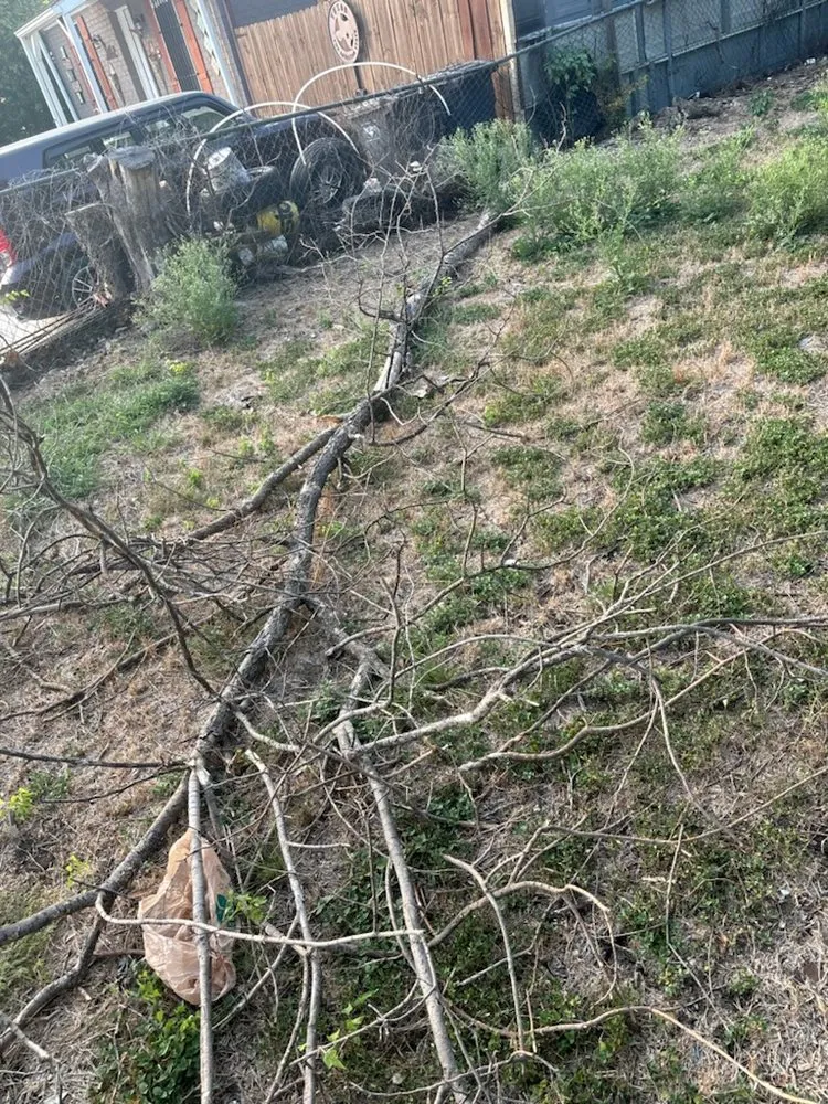 Reliable lawn mowing service for year-round maintenance across Fort Worth, TX - Holy Nation Records