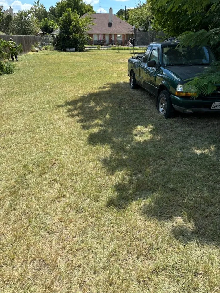 Top-rated landscaping services with custom design across Fort Worth, TX - Holy Nation Records