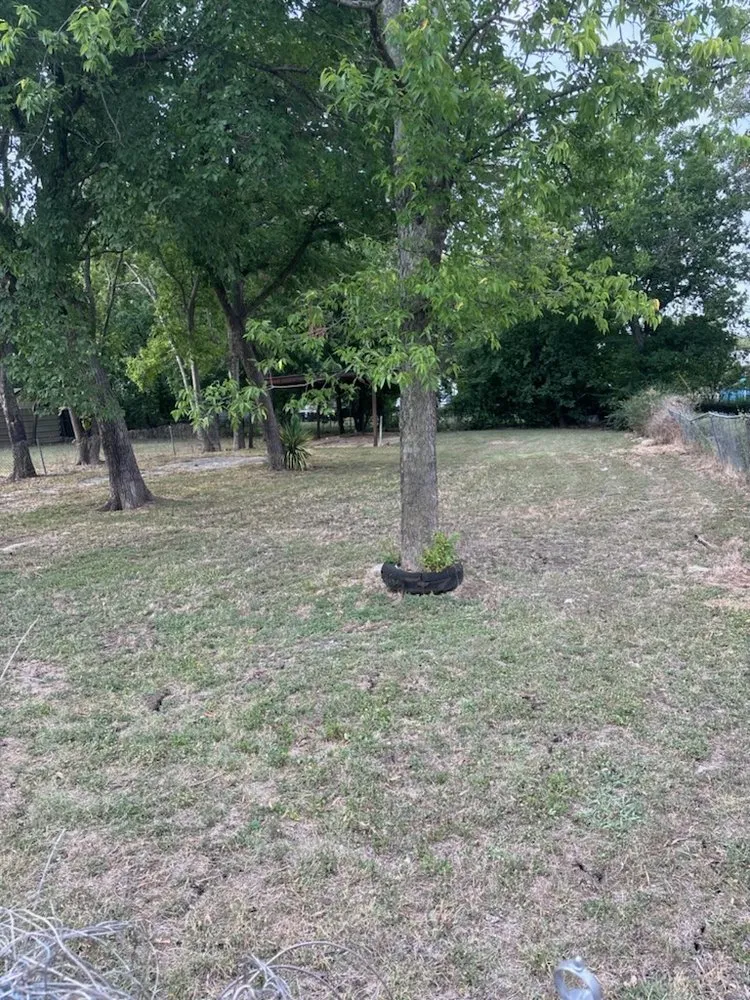 Trusted garden landscaping in Fort Worth, TX by Holy Nation Records