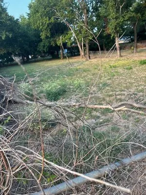 Holy Nation Records Logo