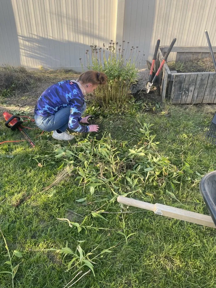 Reliable landscaping services for year-round maintenance across Post Falls, ID - Holy Rootz