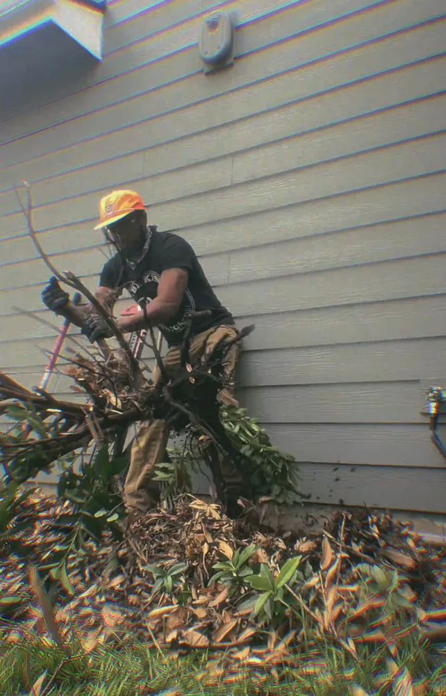 Custom landscaping services in Post Falls, ID by Holy Rootz