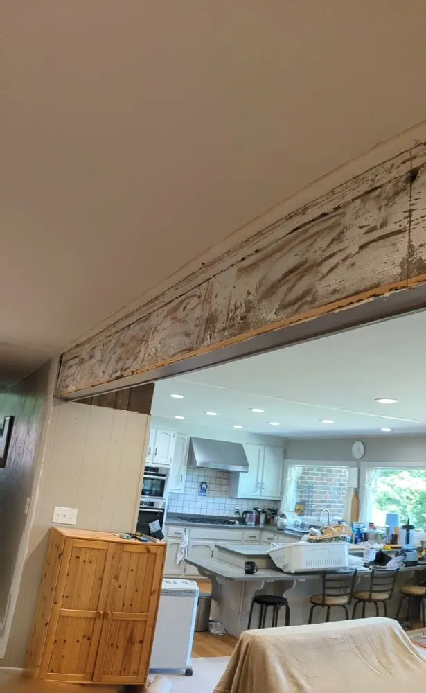 Affordable lawn care service with custom design across Virginia Beach, VA - Home & Land Repairs