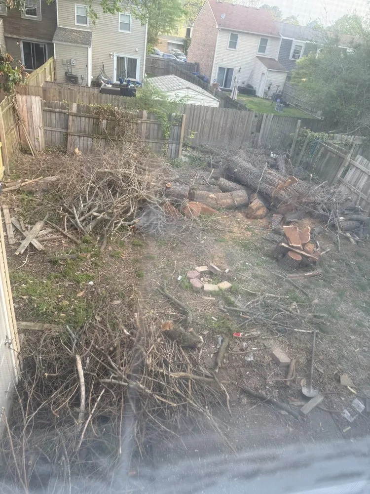 Expert landscape installation in Virginia Beach, VA by Home & Land Repairs