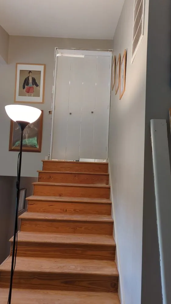 Professional residential landscaping in Virginia Beach, VA by Home & Land Repairs