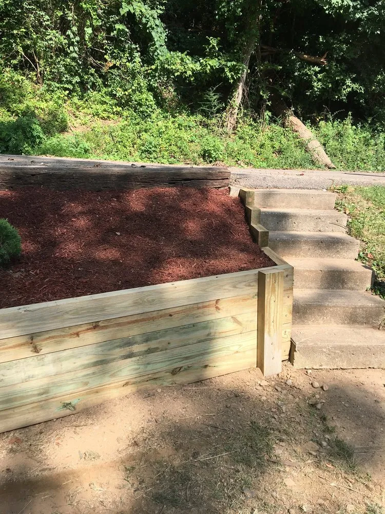 Reliable yard maintenance experts serving The Plains, OH - Home & Lawn Solutions