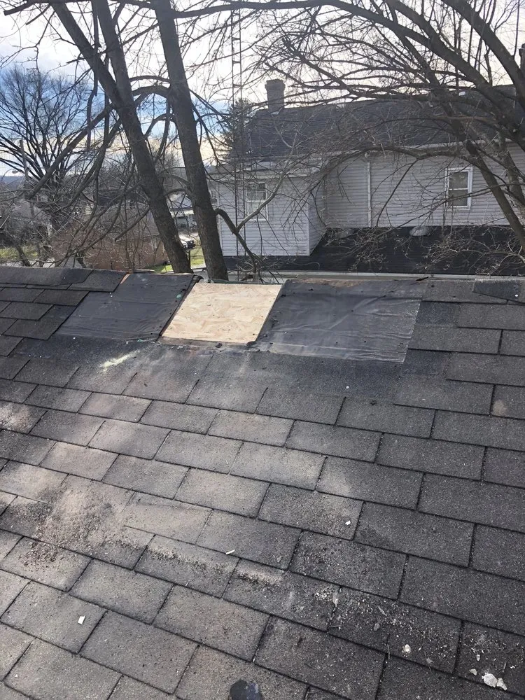 Trusted lawn care service in The Plains, OH - Home & Lawn Solutions