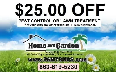 Trusted garden landscaping in Lakeland, FL - Home and Garden