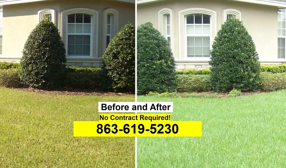 Professional yard cleanup service near you in Lakeland, FL by Home and Garden